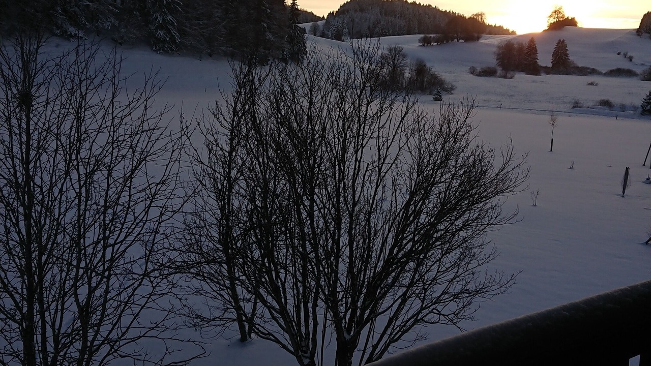 Photo of Outdoor in Chaux-Neuve