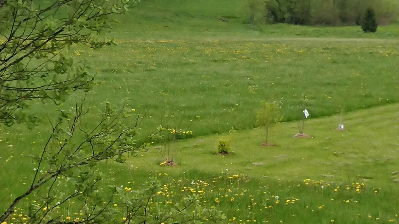 Photo of Others in Chaux-Neuve