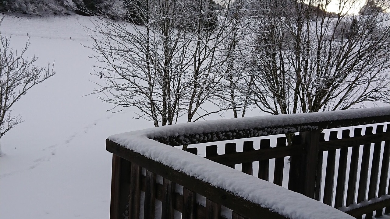 Photo of Outdoor in Chaux-Neuve