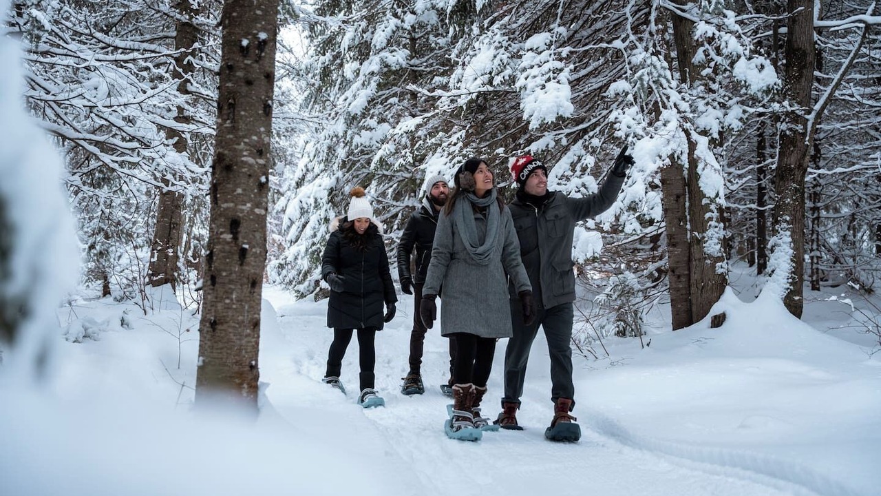 Photo of Others in Fiddler Lake Resort