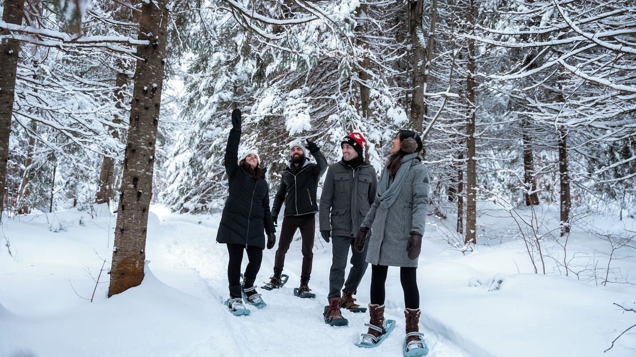 Photo of Others in Fiddler Lake Resort