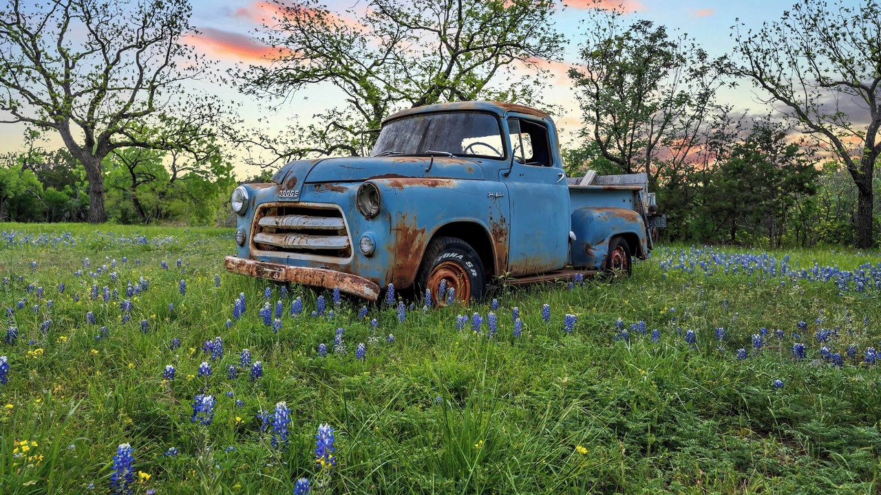 Photo of Others in Burnet