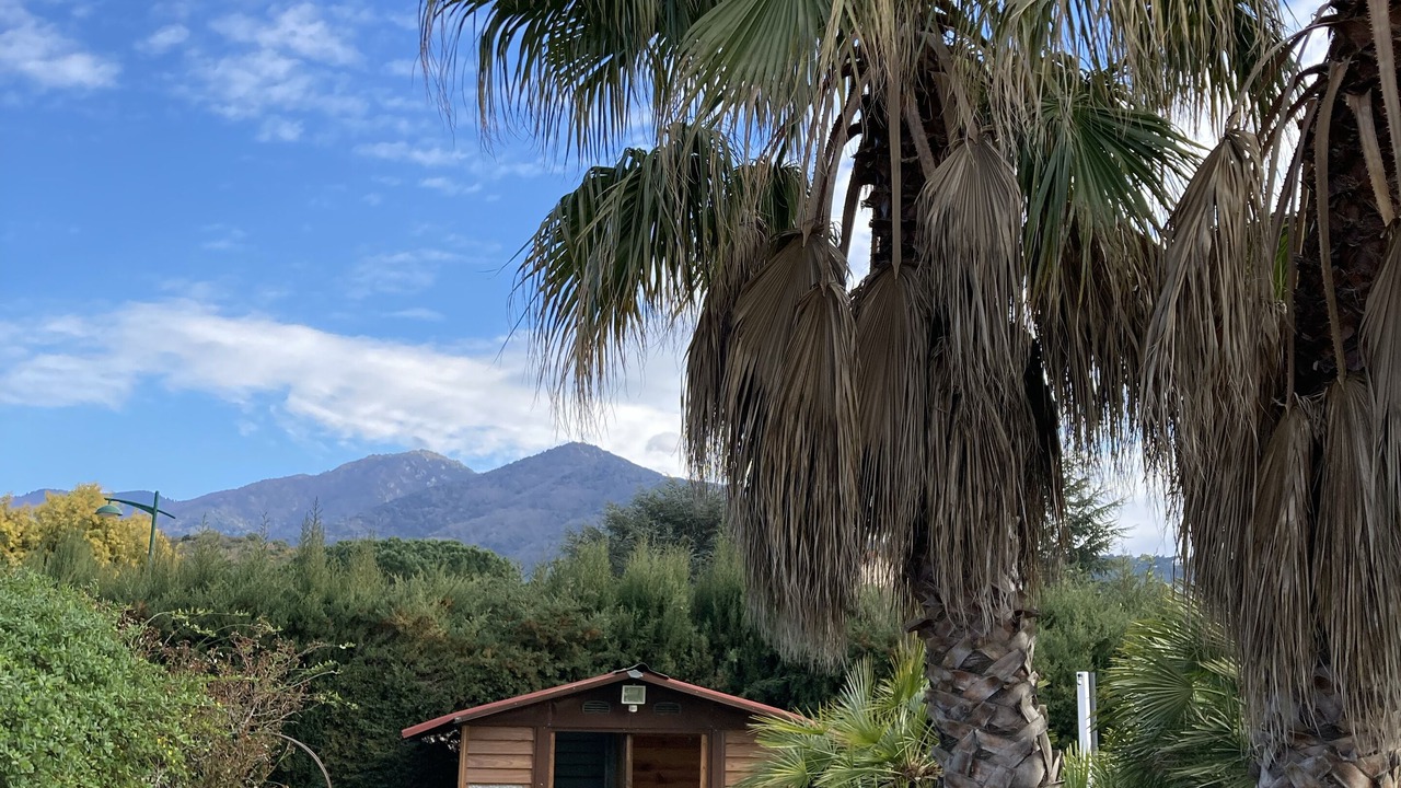 Photo of Outdoor in Montesquieu-des-Alberes