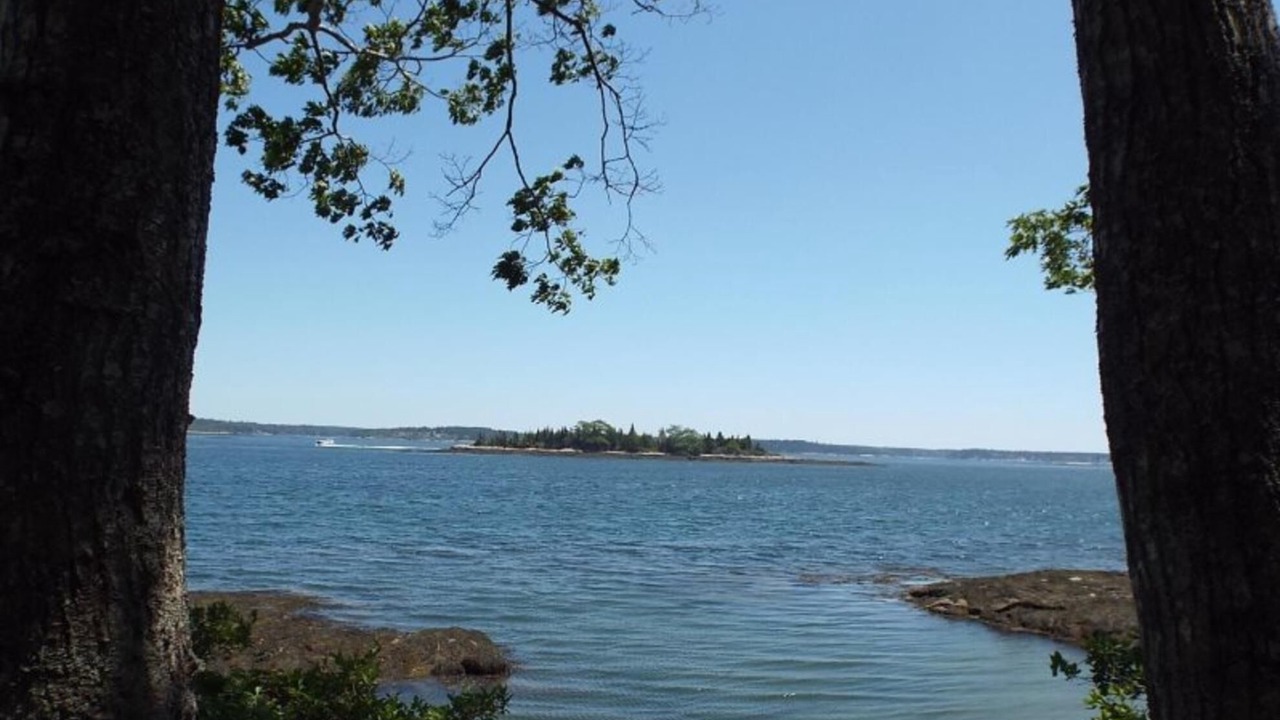 Photo of Others in Mac Mahan