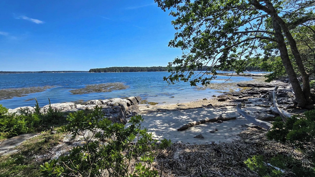 Photo of Others in Mac Mahan