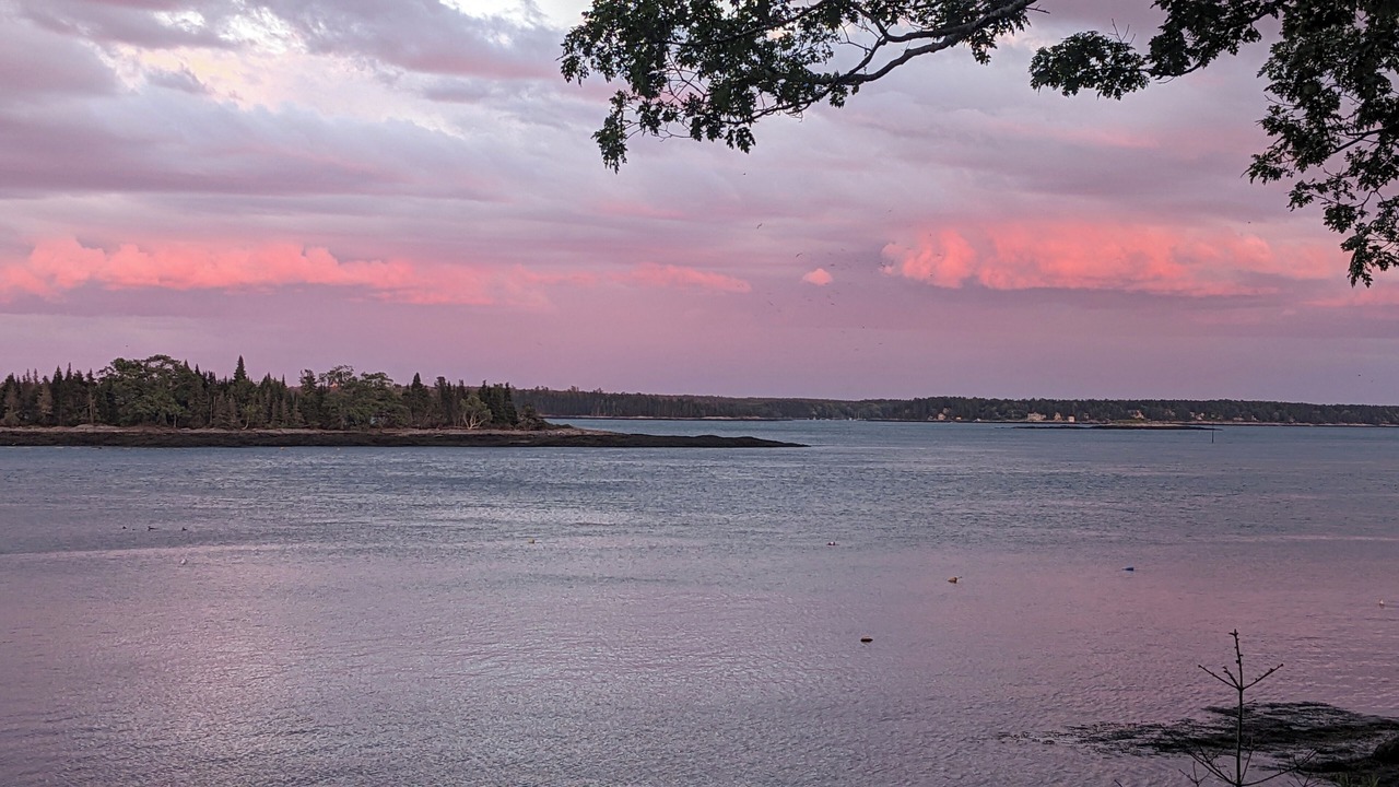 Photo of Others in Mac Mahan