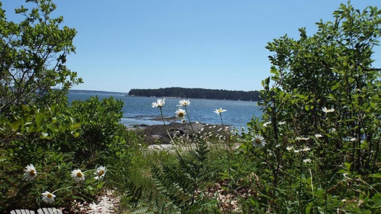 Photo of Others in Mac Mahan