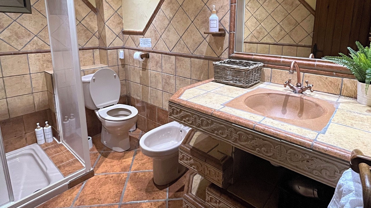 Photo of Bathroom in Riudecols