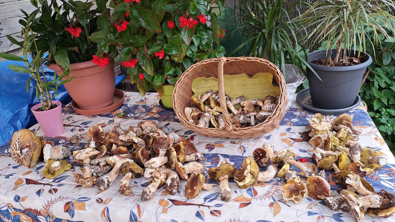 Photo of Outdoor in Bonne