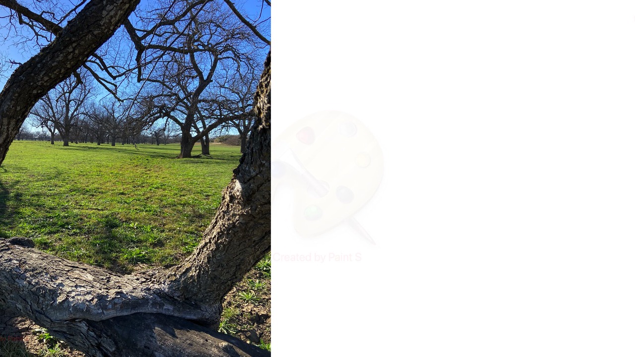 Photo of Outdoor in Lometa