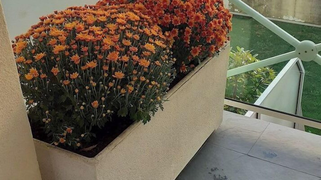 Photo of Outdoor in Annemasse