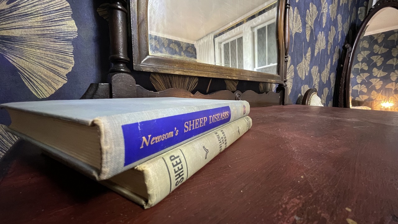 Photo of Others in Frostburg