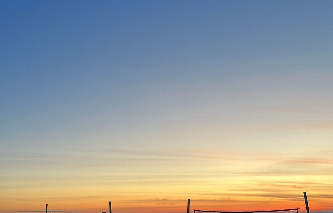 Photo of Others in North Cape May