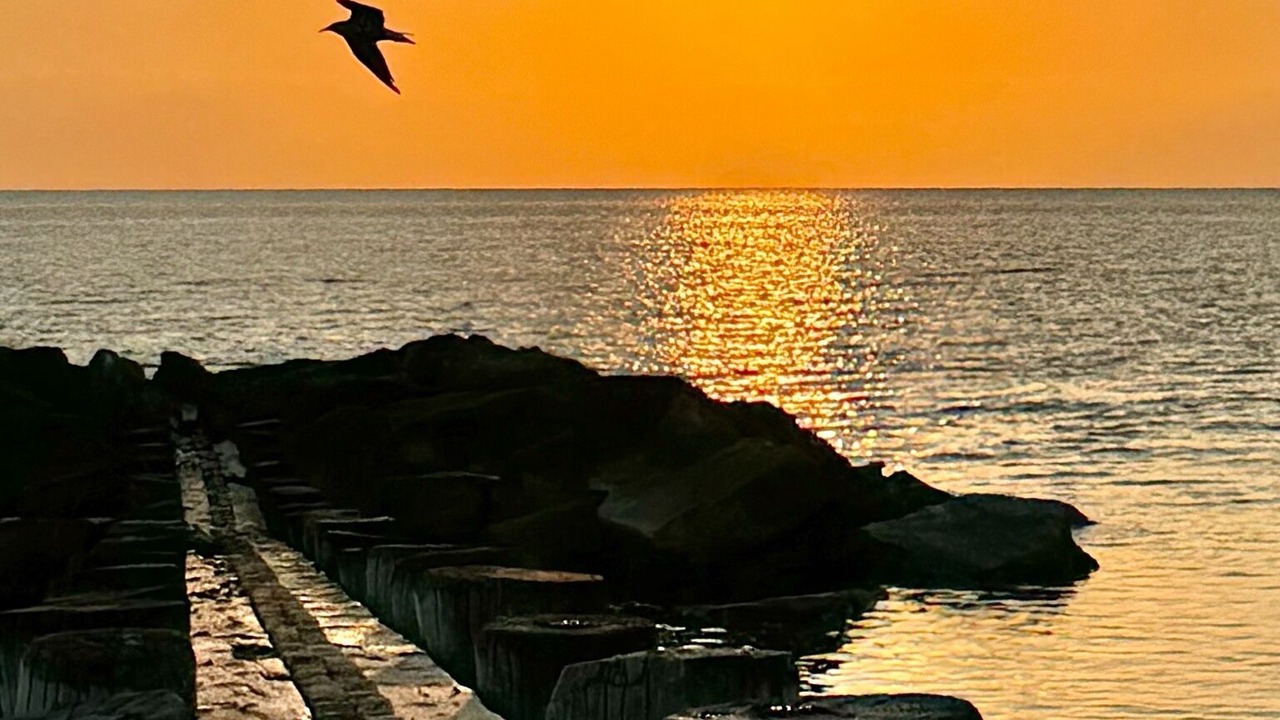 Photo of Others in North Cape May