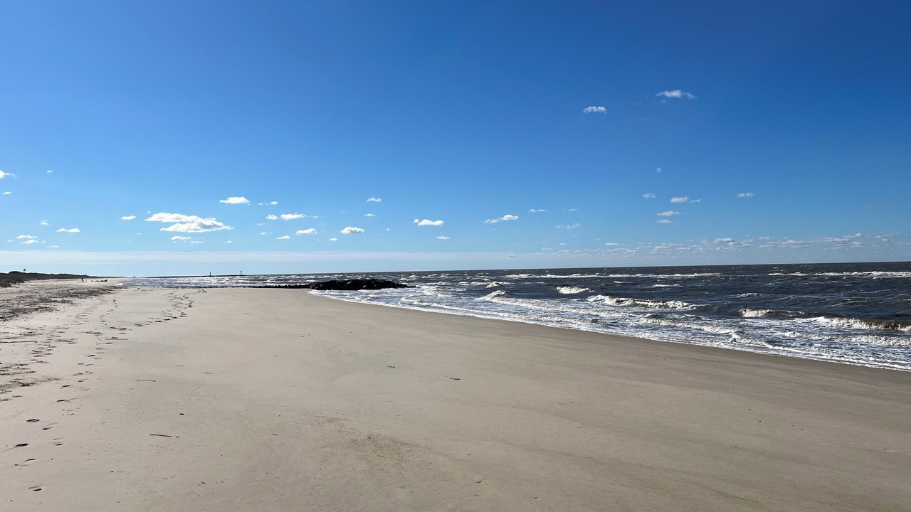 Photo of Others in North Cape May