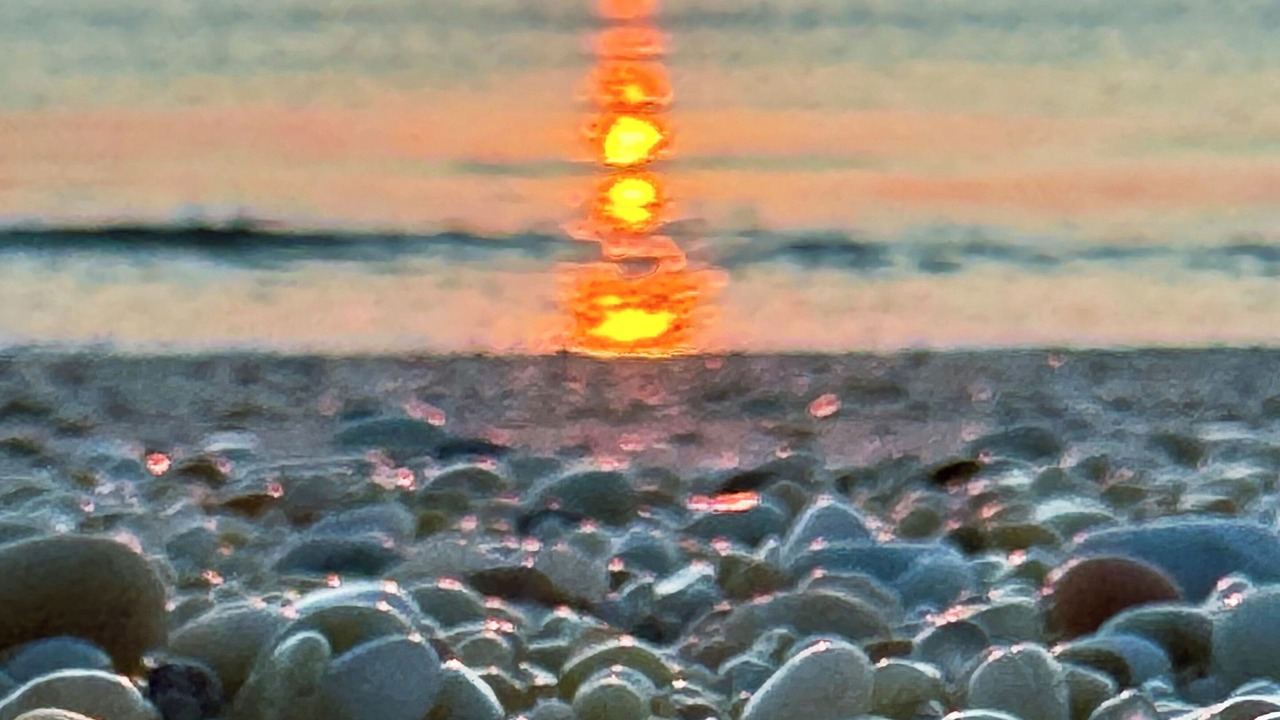 Photo of Others in North Cape May