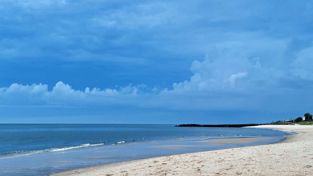 Photo of Others in North Cape May
