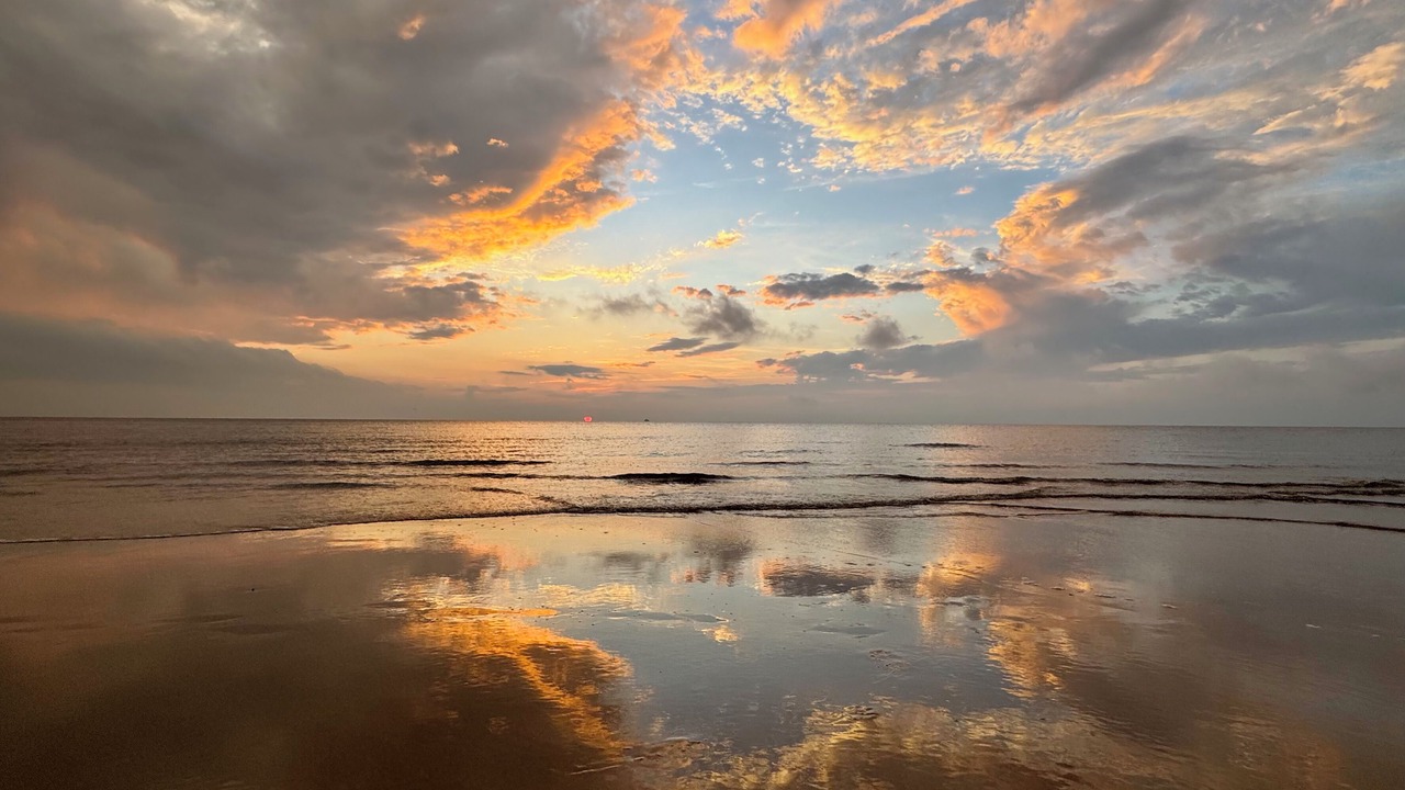 Photo of Others in North Cape May