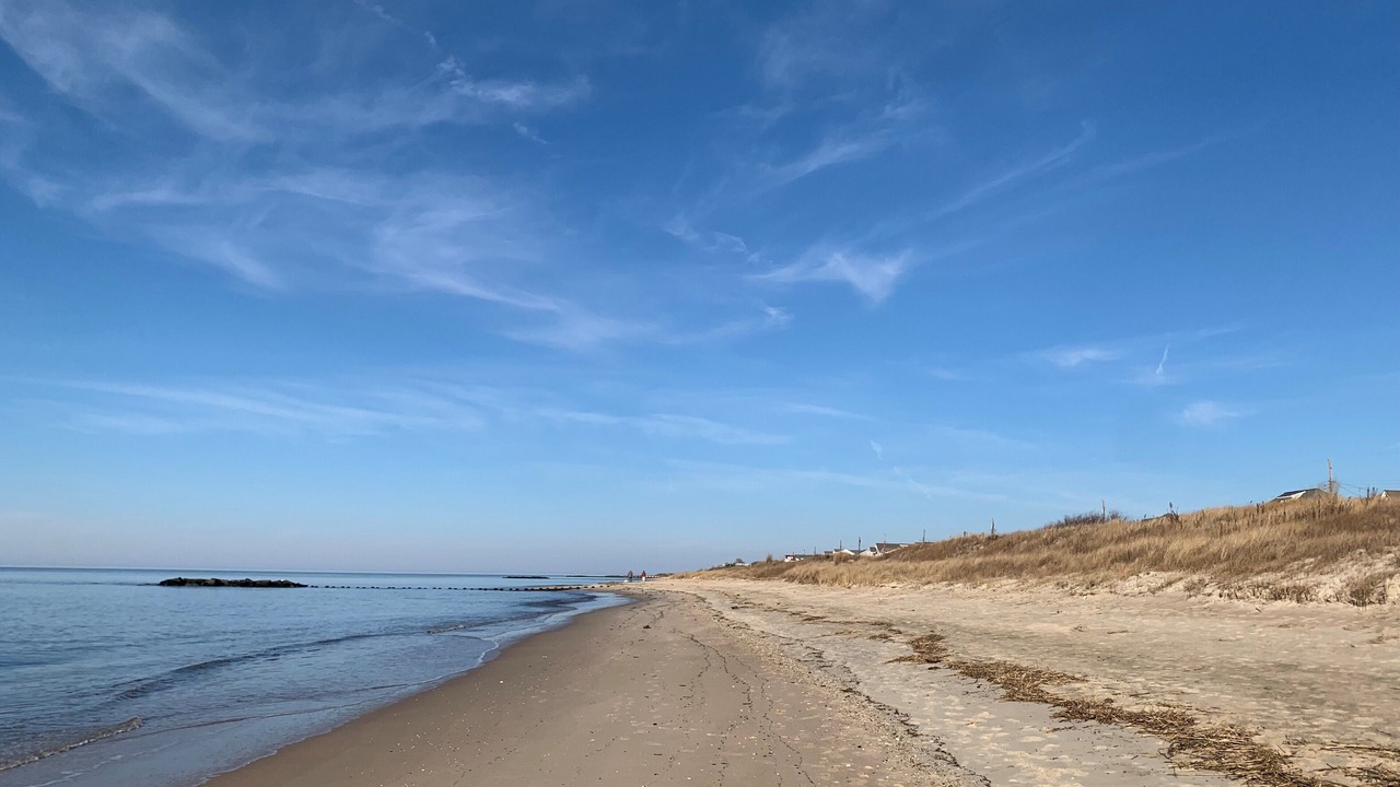 Photo of Others in North Cape May