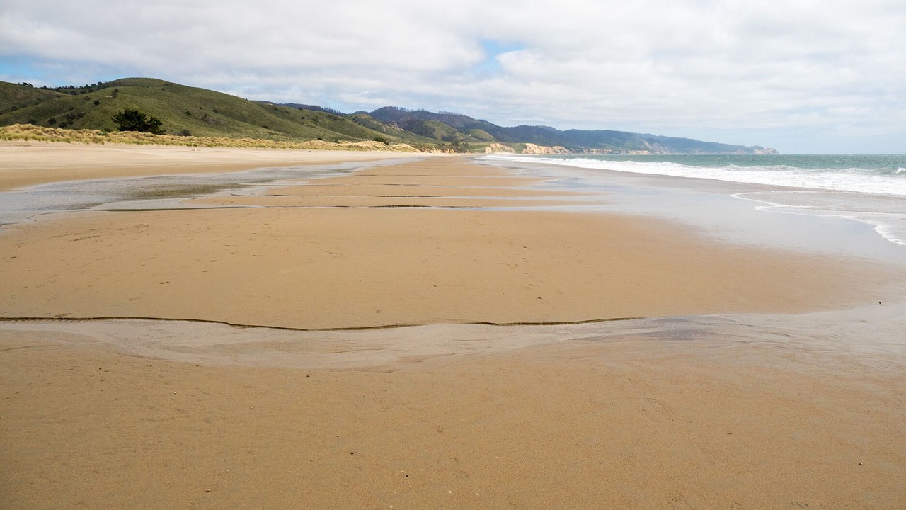 Photo of Others in Forest Knolls