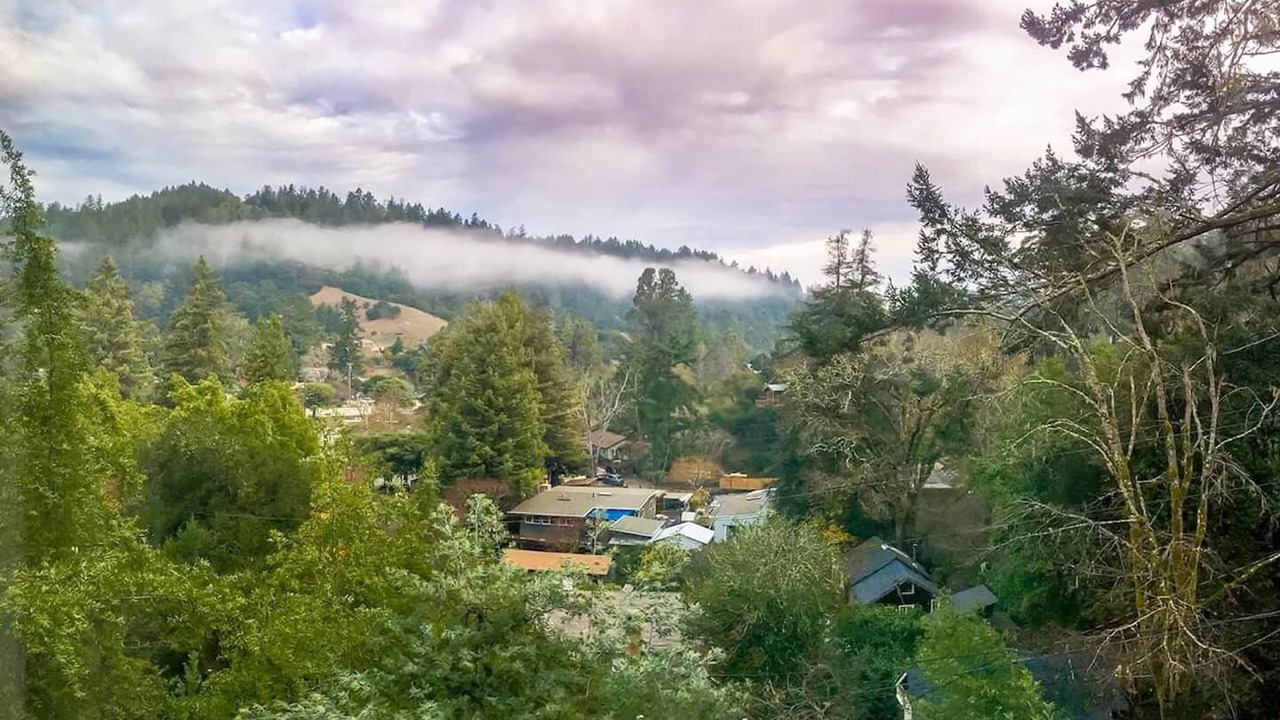 Photo of Others in Forest Knolls