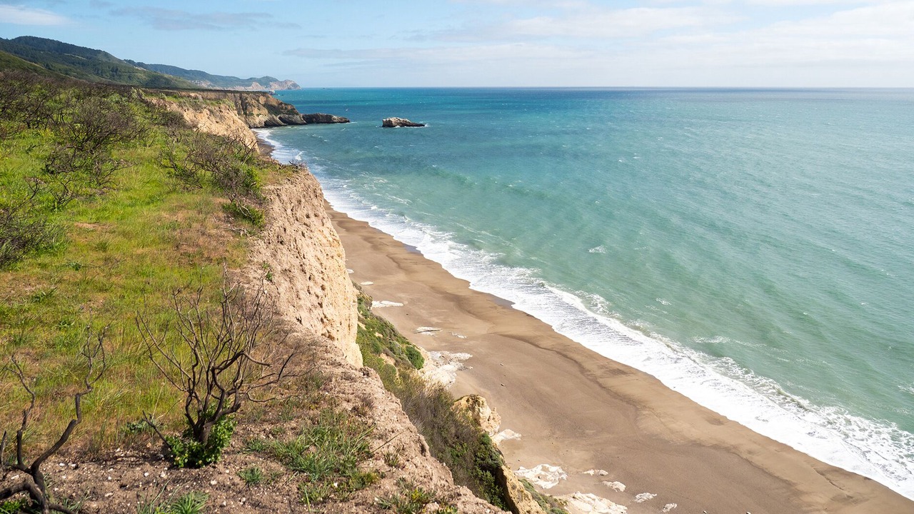 Photo of Others in Forest Knolls