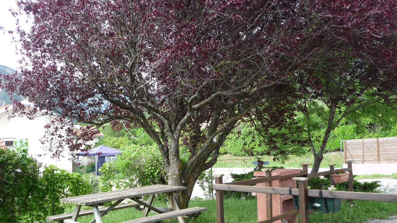 Photo of Outdoor in Die