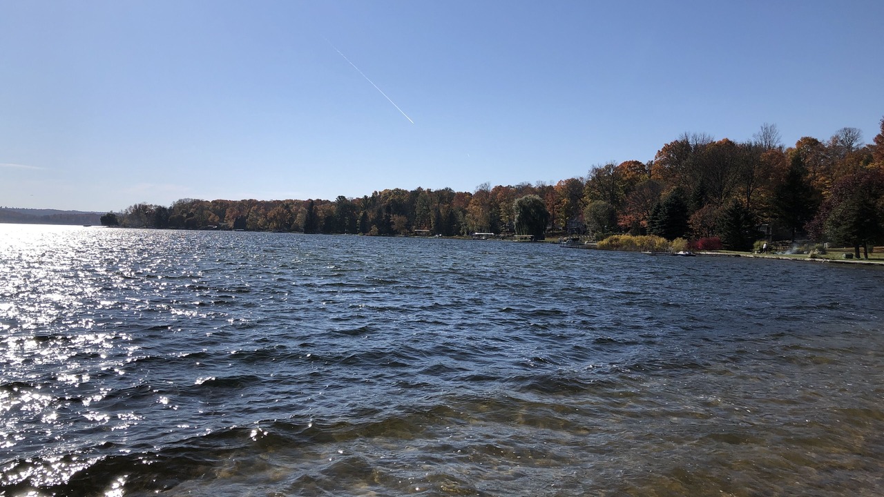 Photo of Others in Duck Lake Peninsula