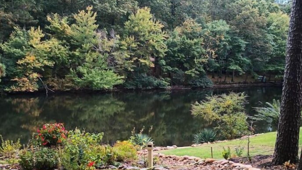 Photo of Others in Hot Springs Village