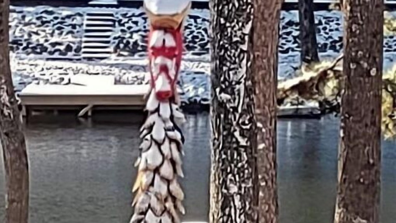 Photo of Others in Hot Springs Village