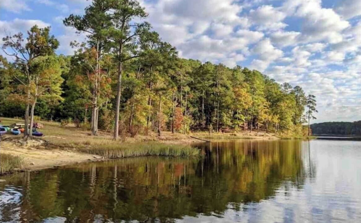 Photo of Outdoor in Wake Forest
