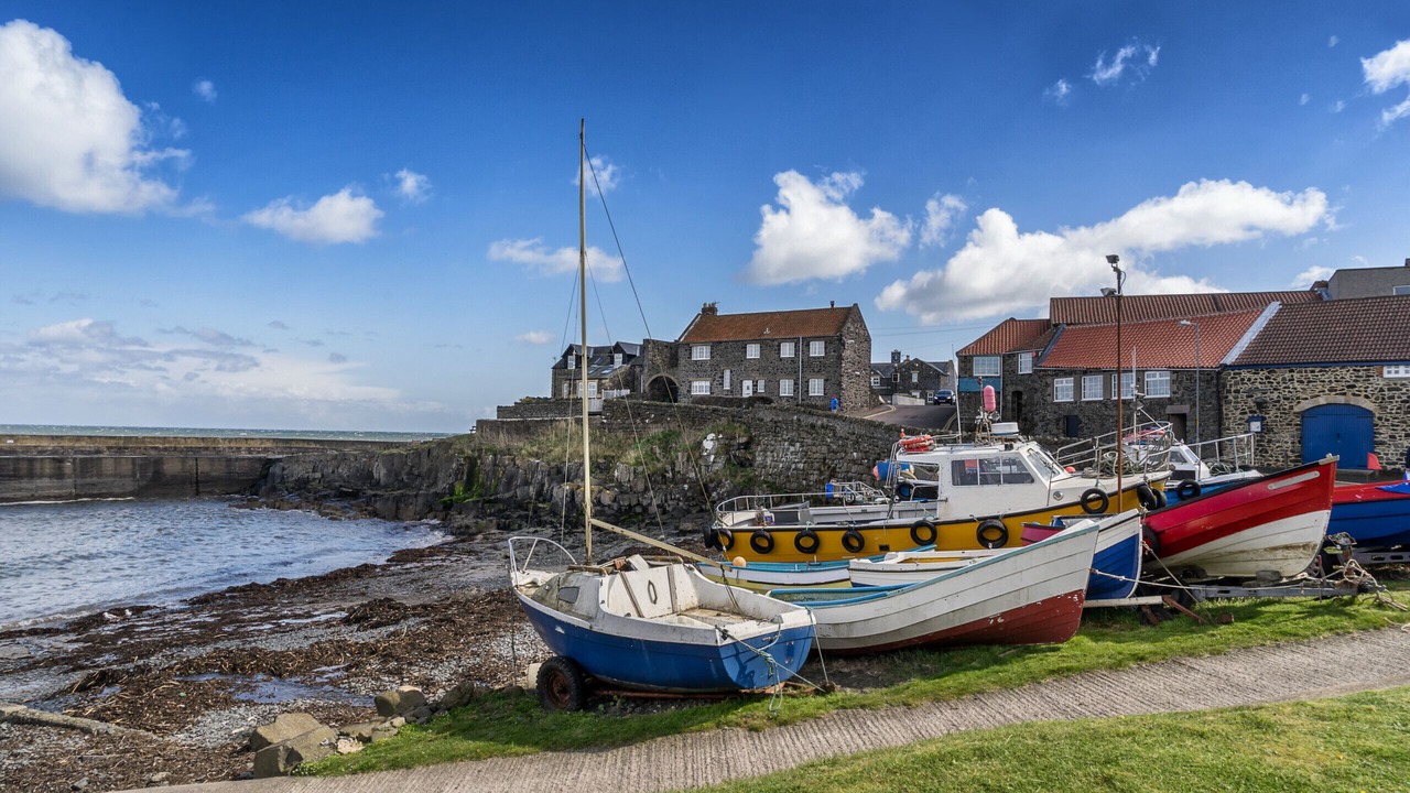 Photo of Others in Craster