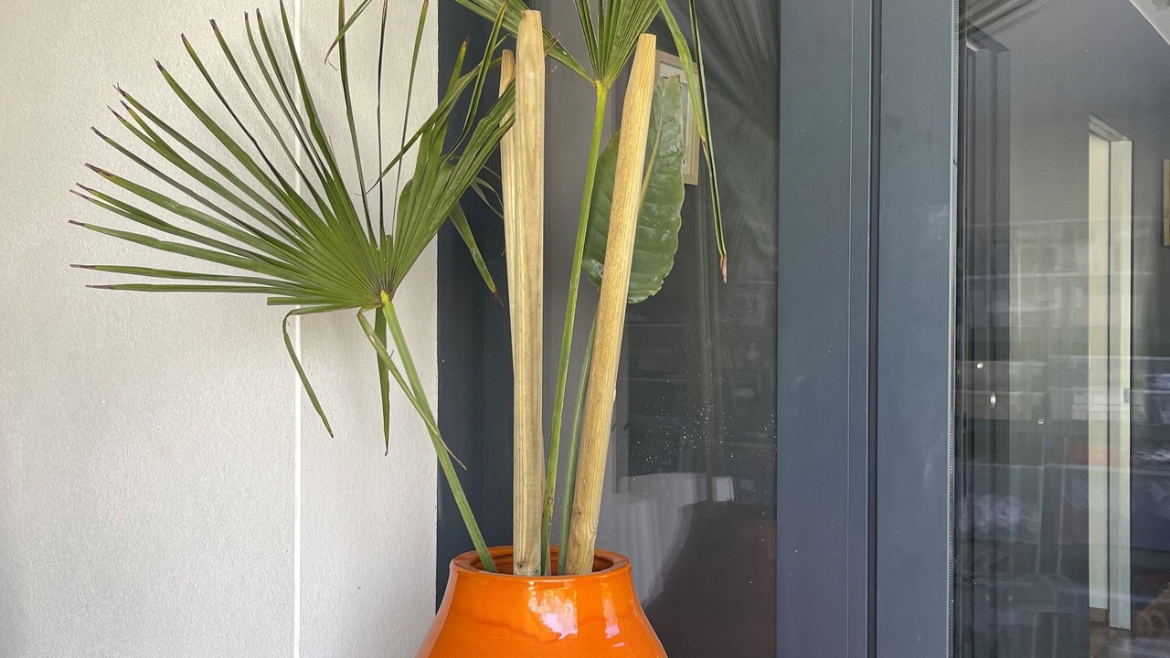 Photo of Outdoor in Bagnols-sur-Ceze
