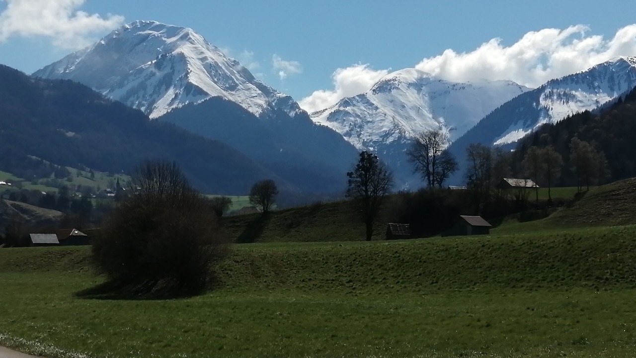 Photo of Others in La Motte-en-Bauges