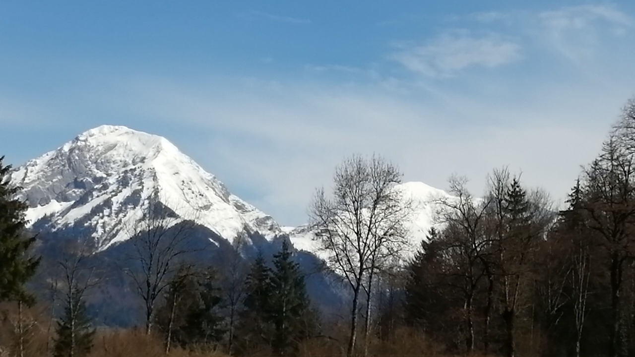Photo of Others in La Motte-en-Bauges