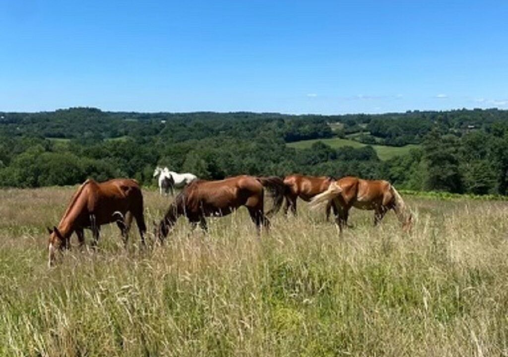 Photo of Outdoor in Saint-Geniez-o-Merle