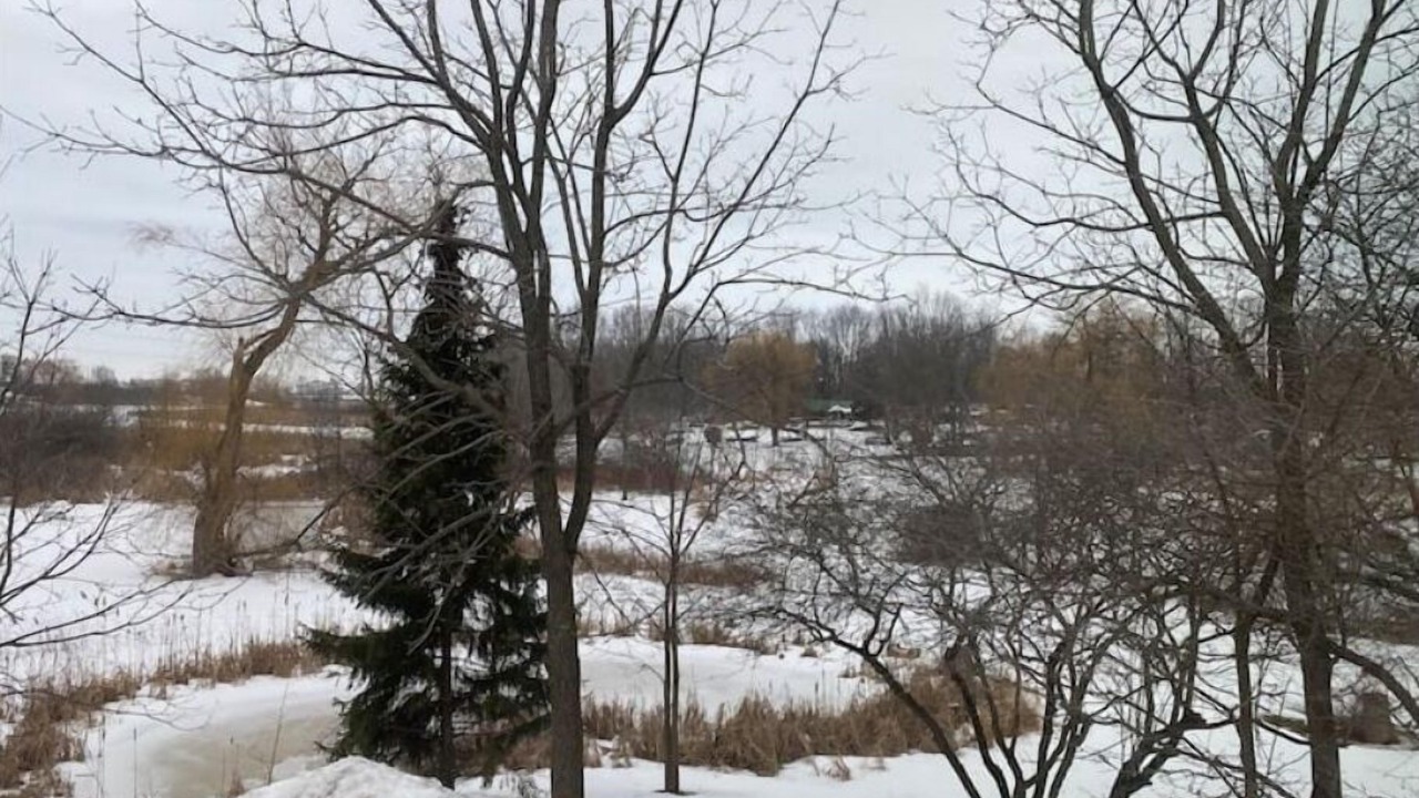 Photo of Others in Nanticoke
