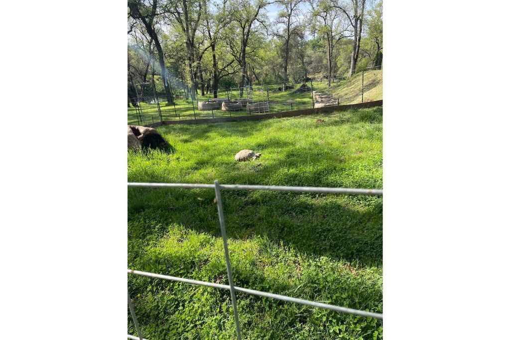 Photo of Outdoor in Placerville