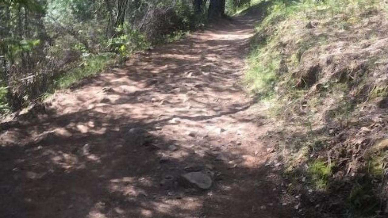 Photo of Others in Placerville