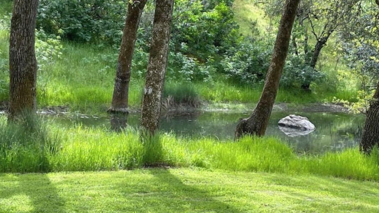 Photo of Outdoor in Placerville