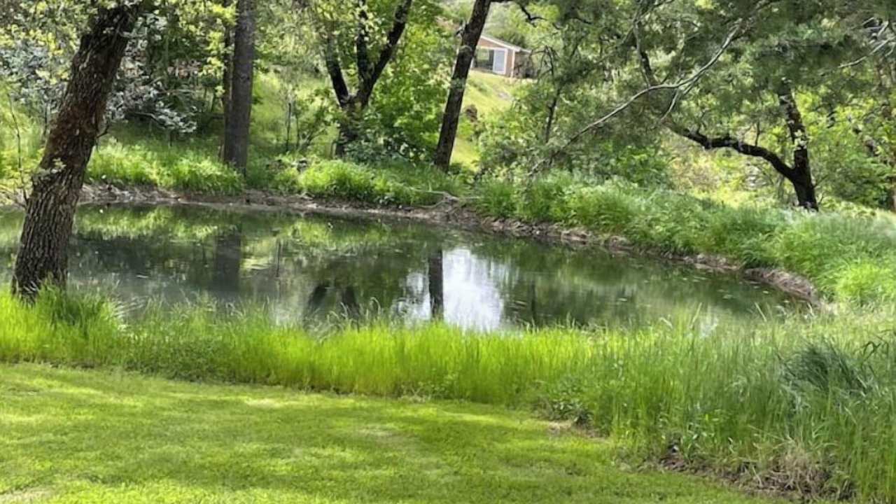 Photo of Outdoor in Placerville