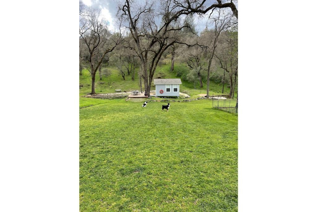 Photo of Outdoor in Placerville