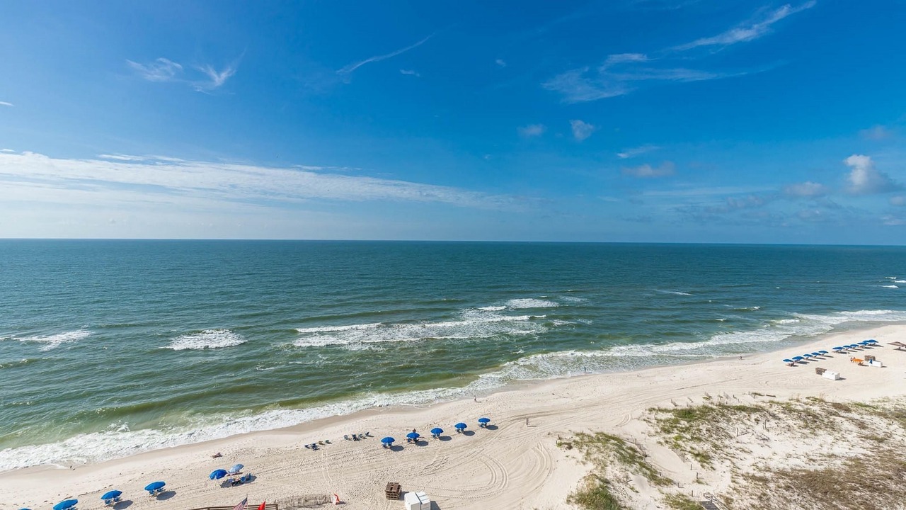 Photo of Others in Orange Beach East