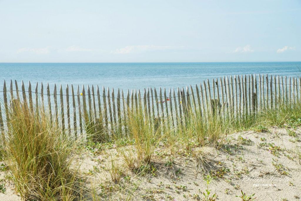 Photo of Others in Wimille