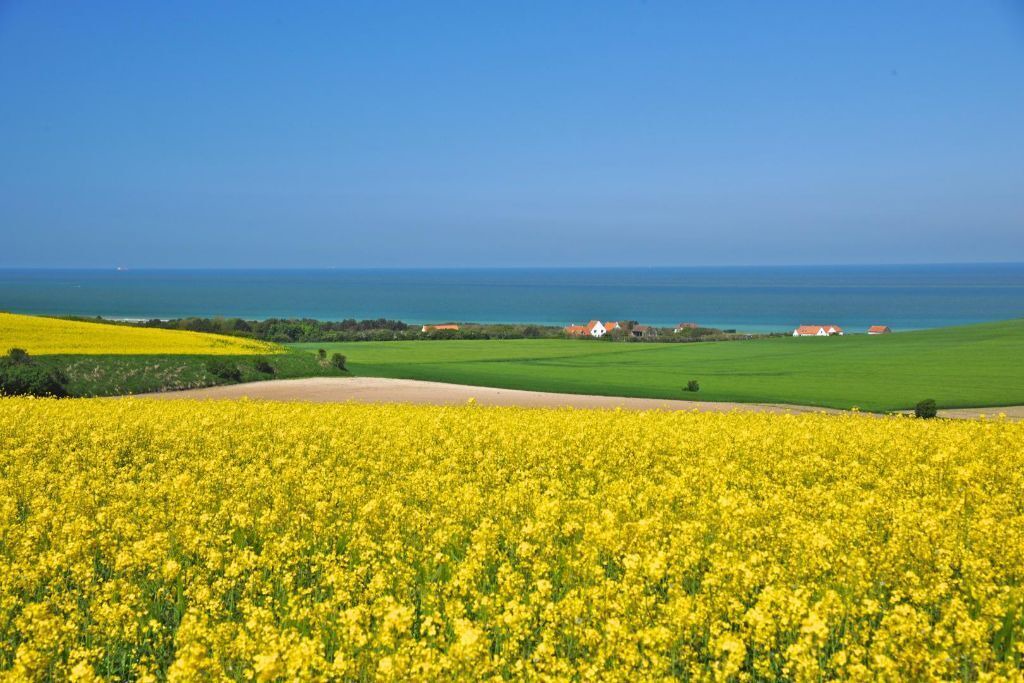 Photo of Others in Wimille