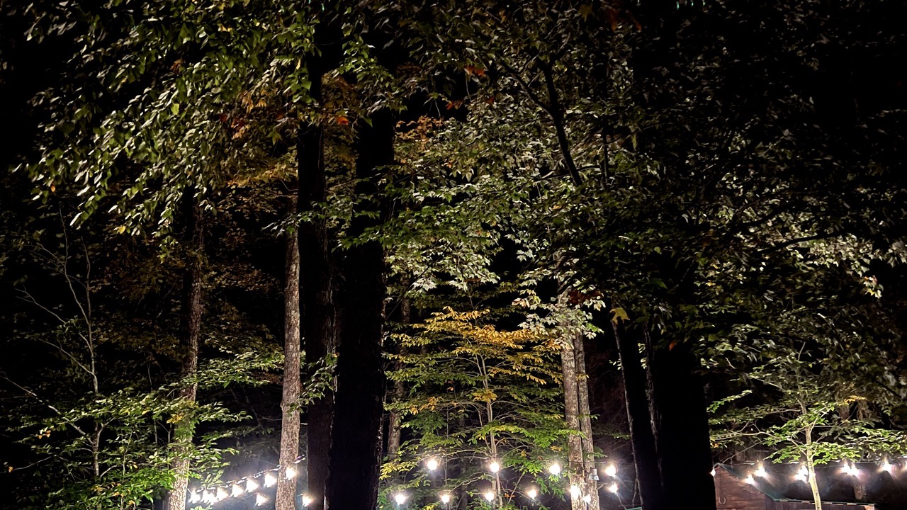 Photo of Outdoor in Croghan