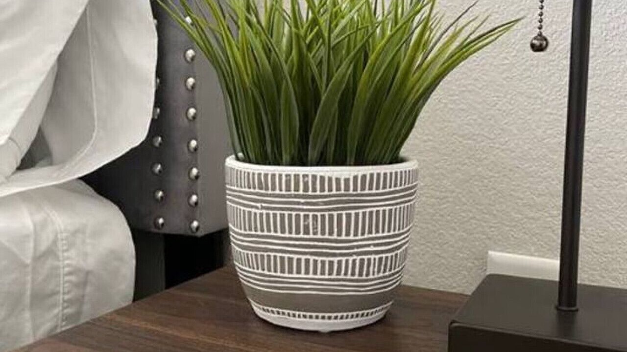 Photo of Others in Western Branch North