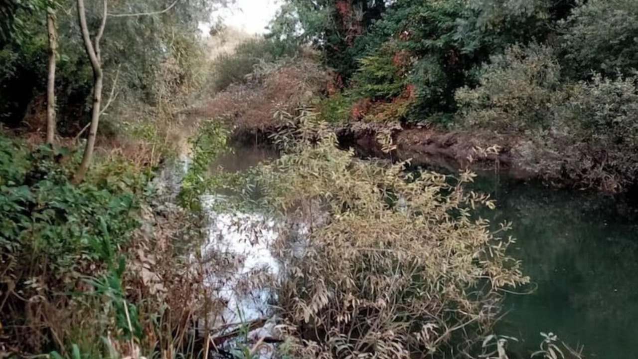 Photo of Outdoor in Attin