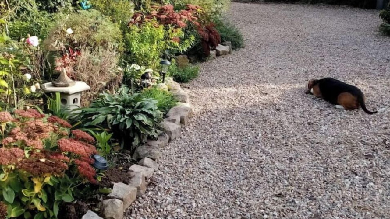 Photo of Outdoor in Attin