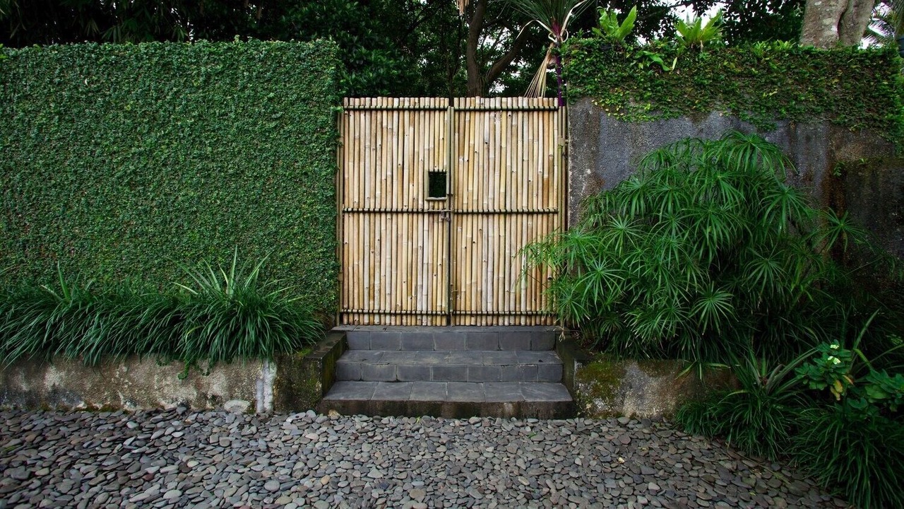 Photo of Outdoor in Keliki